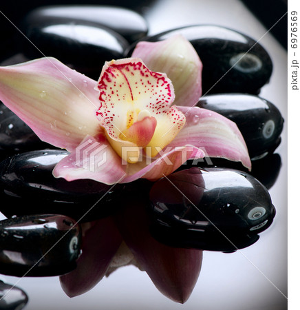 Spa Stones and Orchid Flower over Dark Background 6976569
