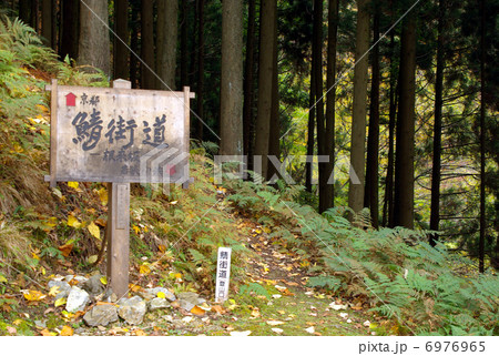 歴史の鯖街道 歴史の鯖街道 6976965