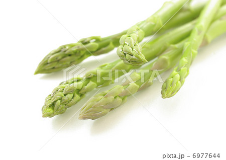 アスパラ 6977644