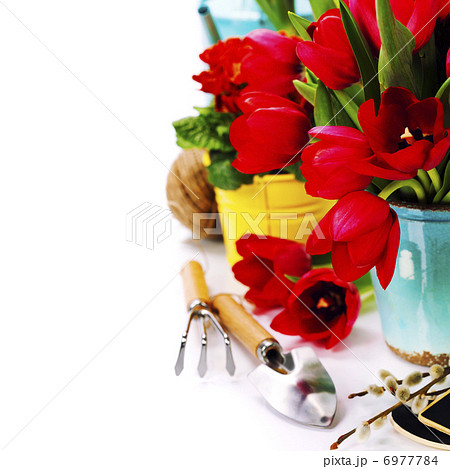 Spring flowers and garden tools Spring flowers and garden tools 6977784