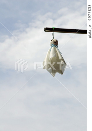 てるてる坊主（てるてるぼうず） 6977858