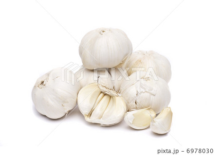 Garlic isolated on white background Garlic isolated on white background 6978030