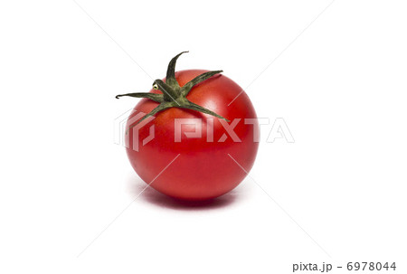 tomato 6978044