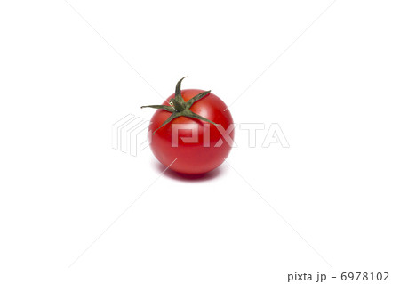 tomato tomato 6978102