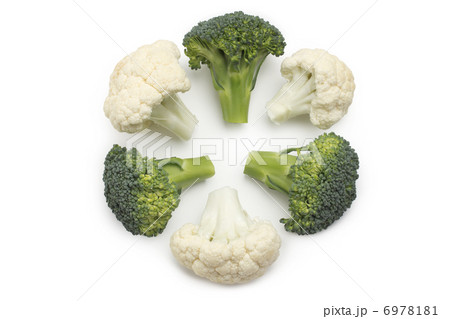 Broccoli isolated on white background Broccoli isolated on white background 6978181