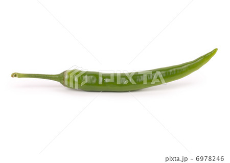 Chili pepper isolated on white background Chili pepper isolated on white background 6978246