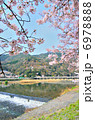 京都　渡月橋　桜 6978888