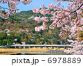 京都　渡月橋　桜 6978889