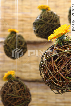 spring flowers decoration 6978941