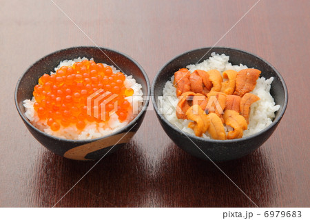 うに いくら丼 うに いくら丼 6979683