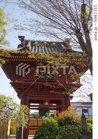 厄除け大師 厄除け大師 6987355