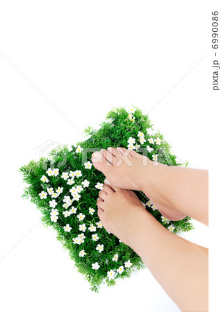 last oasis 6990086
