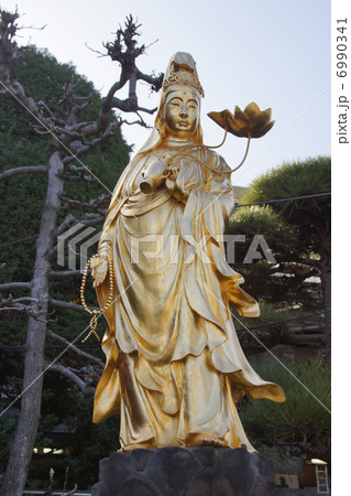 麗水観音 麗水観音 6990341