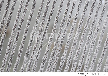 frost frost 6991985