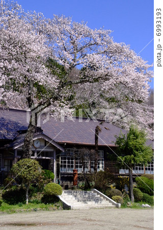 茨城県　旧上岡小学校　正面玄関と桜　その３ 6993193