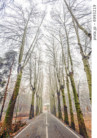 イラン冬の宮殿内(サアダーバード宮殿,テヘラン) 6993219