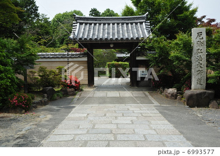 京都　神光院 6993577