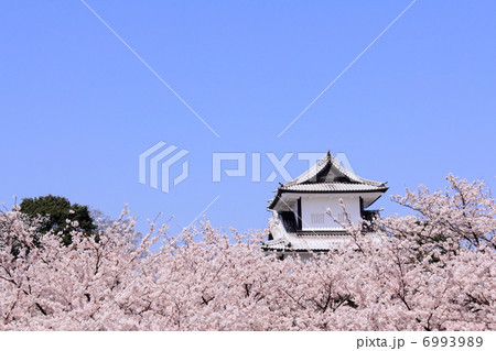 満開の桜と金沢城（石川門） 6993989