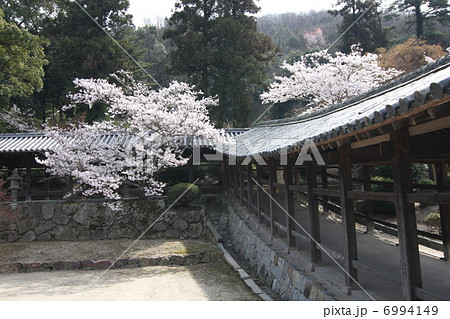 吉備津神社 6994149