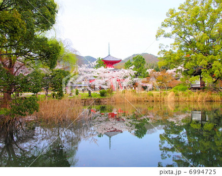 春の大覚寺 6994725