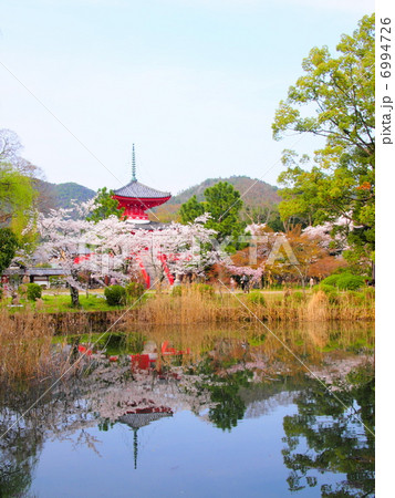 春の大覚寺 6994726