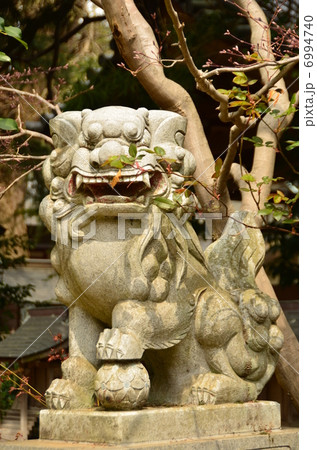 狛犬 6994740