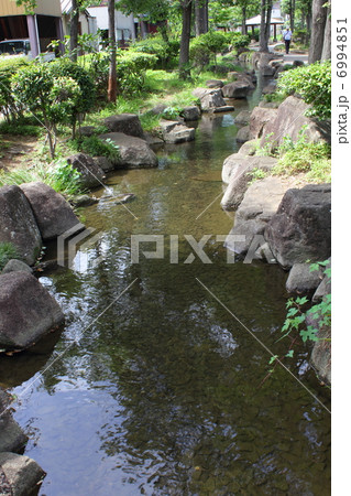 見沼代親水公園・せせらぎ 6994851