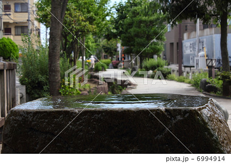 神領堀親水緑道の水場 6994914
