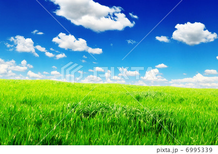 field field 6995339