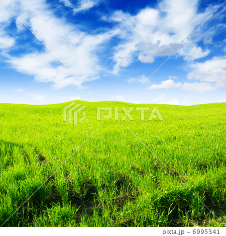 field field 6995341