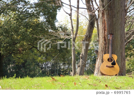 ギター ギター 6995765