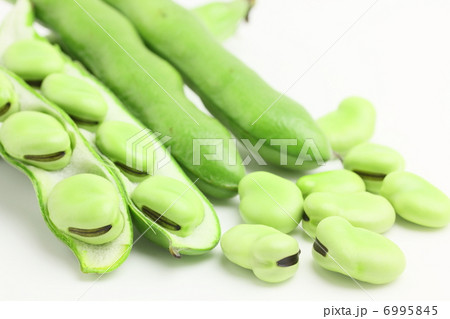 そら豆　野菜 6995845