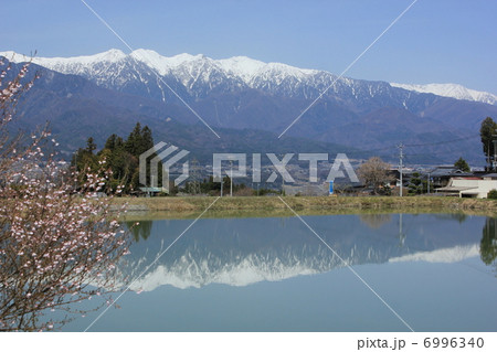 部奈の大堤と中央アルプス 6996340