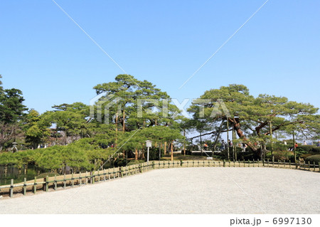 春の兼六園（唐崎松） 6997130