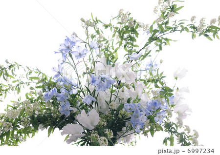 デルフィニウム、コデマリ、スイトピーのフラワーアレンジ 6997234