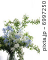 デルフィニウム、コデマリ、スイトピーのフラワーアレンジ 6997250