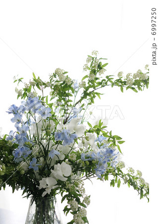 デルフィニウム、コデマリ、スイトピーのフラワーアレンジ 6997250