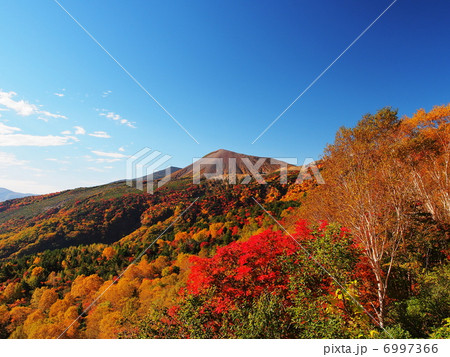 磐梯吾妻スカイラインからの紅葉風景 6997366