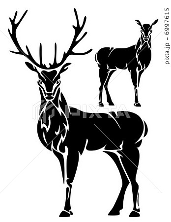 Standing Deer Black And White Vector Illustrationのイラスト素材