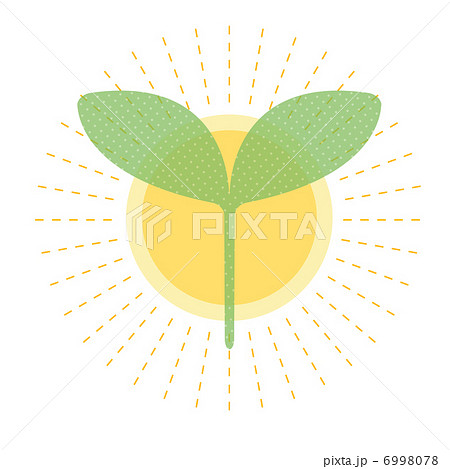 芽と太陽 6998078