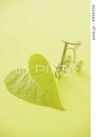 葉っぱと自転車 6999300