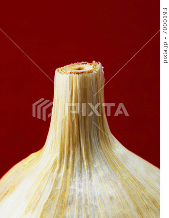 にんにくのアップ にんにくのアップ 7000193