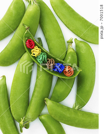 針金のまめを包んだえんどうまめ 7001518