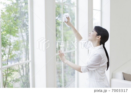 窓を拭く女性 窓を拭く女性 7003317