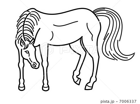 馬のアウトライン 馬のアウトライン 7006337
