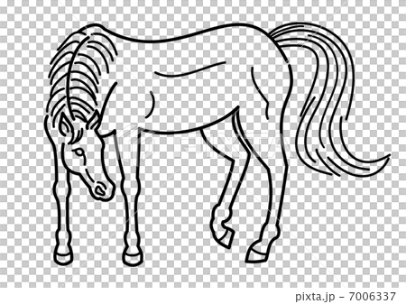 馬のアウトライン 馬のアウトライン 7006337