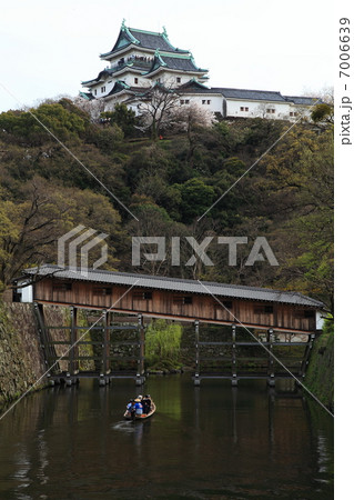 春の和歌山城 7006639