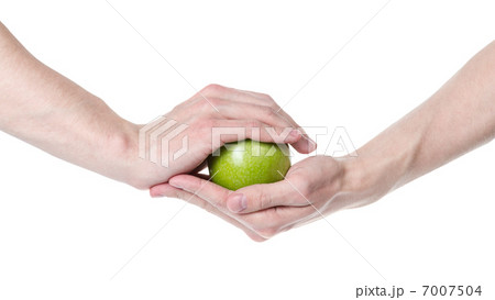 adult man hands holding green apple 7007504