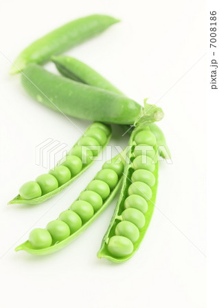 グリーンピース 野菜 豆 グリーンピース 野菜 豆 7008186