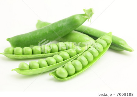 グリーンピース 野菜 豆 グリーンピース 野菜 豆 7008188